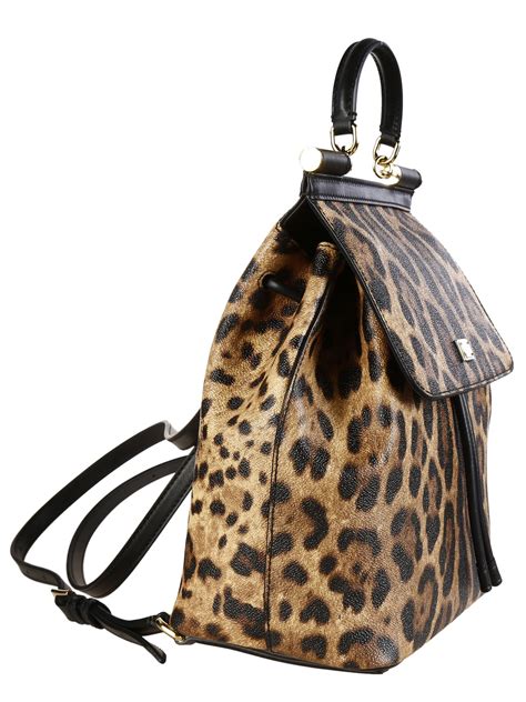 dolce gabbana leopard backpack